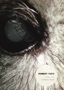 Robert Todd: Interior Landscape | EVERGREEN / INTERPLAY / HABITAT / UNDERGROWTH / WITHIN / THRESHOLD  |   DVD